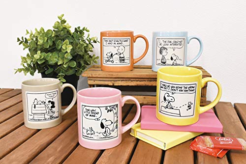 PEANUTS マグカップ & JOE K テイクアウトカップセット PEANUTS マグカップ & JOE K テイクアウトカップセット PEANUTS