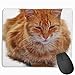Pomarańczowe pręgowane kot skały antypoślizgowe wzory osobowość gamingowa podkładka pod mysz czarna tkanina prostokątna podkładka pod mysz sztuka naturalna guma podkładka pod mysz z przeszytymi krawędziami