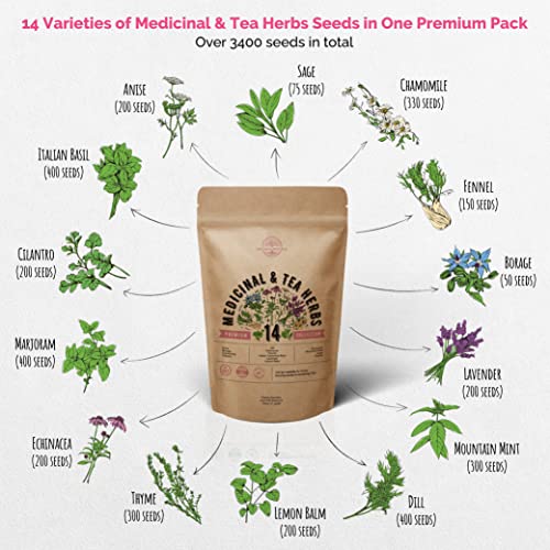 14 Medicinal & Tea Herb Seeds Variety Pack For Planting Indoor & Outdoors. 3400+ Non-Gmo Heirloom Herbal Garden Seeds: Anise, Borage, Cilantro, Chamomile, Echinacea, Rosemary, Lavender Seeds & More #TOP2