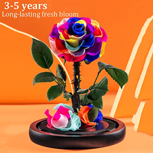 Único Flores preservadas Rosas coloridas Flores reais Flores artificiais Flores preservadas em vidro