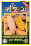 Everwilde Farms - 40 Pink Banana Winter Squash Seeds - Gold Vault Seed Packet
