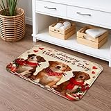 Tapis de salle de bain avec rembourrage luxueux : une couche épaisse en flanelle et une surface en flanelle douce pour une expérience élégante