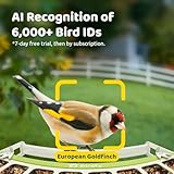 Birdfy Smart Bird Feeder Camera, Durable Metal Feeders: Auto-Detect & Notify, Capture Videos, Live Bird Watching Camera Wireless Outdoor, Solar Powered - Image 5