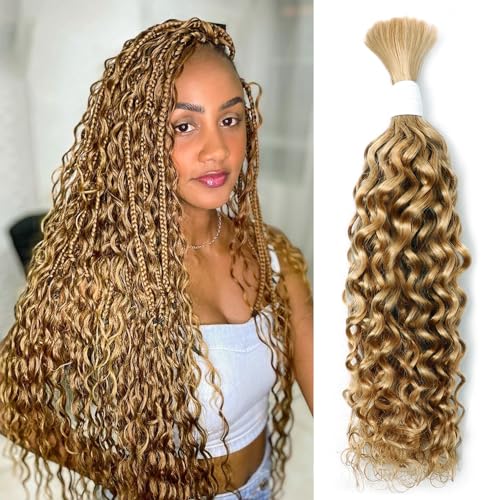 Liqusee Water Wave Curly #27 Human Braiding Hair 100g One Bundle/Pack Bulk Human Hair for Braiding No Weft Human Hair Braiding Hair Wet and Wave for Boho Braids (20 inch, Water Wave #27)