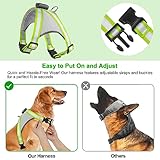 Visinite LED-Hundegeschirr mit Licht, wiederaufladbar, leuchtende Hundeweste, 2 Beleuchtungsmodi, verstellbares beleuchtetes Geschirr für sichere Nachtspaziergänge