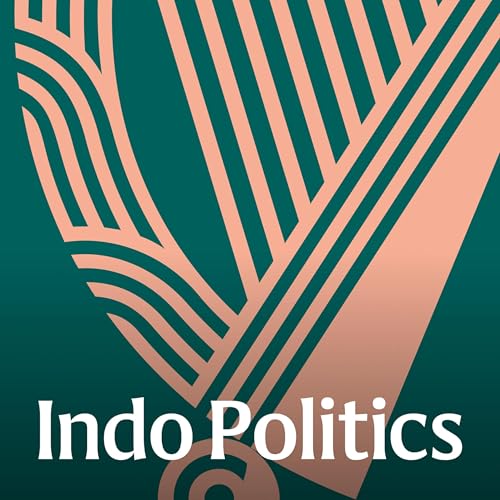 Page de couverture de Indo Politics