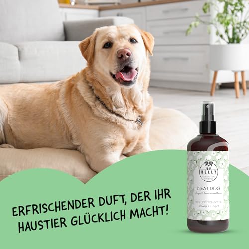 Belly® Deodorant für Hunde - 250ml - Frisches Baumwollaroma - Neutralisiert unangenehme Gerüche - pH neutral - Hundeparfüm - Hunde Parfüm, Fellpflegespray, Welpenparfum