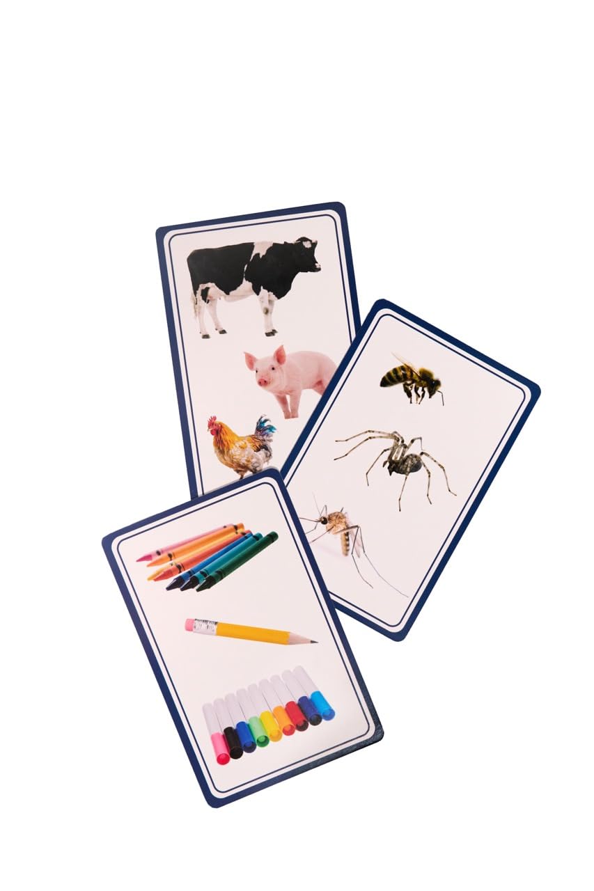 Little Learners NYC Kids Categorization Card Game - Educational Learning Game for Speech, Reasoning & Problem Solving - Fun Travel Activity for Preschoolers - Develop Verbal & Cognitive Skills