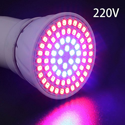 GLADLE E27 36 W 110/220 V 72 LEDs Grows The Bulb The Miracle Red Blue Grows The Light Of The Plant for hydropoics Greenhouse Organic 220V