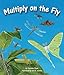 Multiply on the Fly (Arbordale Collection)