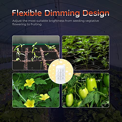 Fomzze Fz-1000 Led Grow Light, Full Spectrum Grow Lamps With Samsung Leds, Remote Control Dimmable Growing Lights For Indoor Plants Veg And Flower Greenhouse #TOP6