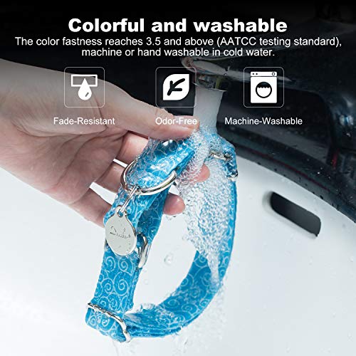 Dazzber Martingale Collars for Dogs, Sky Blue, Large, Neck 17 Inch -25 Inch, Dog Collar No Pull No Escape for Walking Training - Thumbnail 4