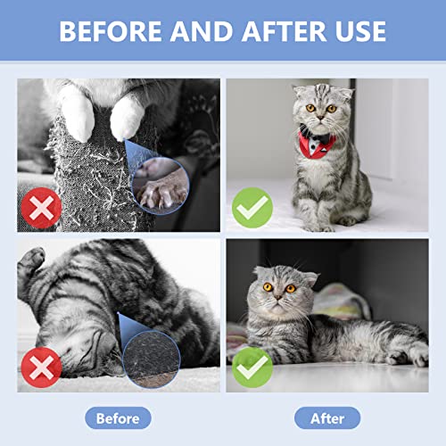 Pdtxcls CAT REPELLENT-1 Spray Deterrent, Cat Repellent Spray, Effective Cat Scratch Furniture Protector-Stay Away From Restricted Areas-For Pet Behavior Training-Indoor And Outdoor Use thumb #4