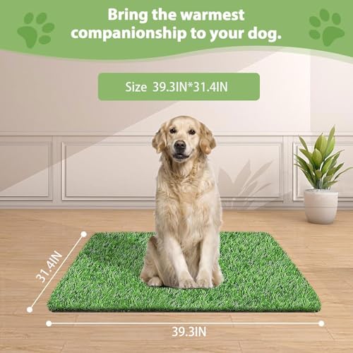 Image of Artificial Grass for Dogs Pee Tray Fake Grass Mat for Professional Puppy Potty Trainer Replacement Dog Grass Pad for Indoor and Outdoor 29.1 x 21.1 Inch (Pack of 1)