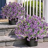 Artificial Morning Glory & Eucalyptus Topiary Trees - Set of 2 Faux Silk Flower Potted Plants, UV-Resistant Fake Outdoor Morning Glory Bushes for Front Door, Yard, Farmhouse, Garden Decor (Purple)