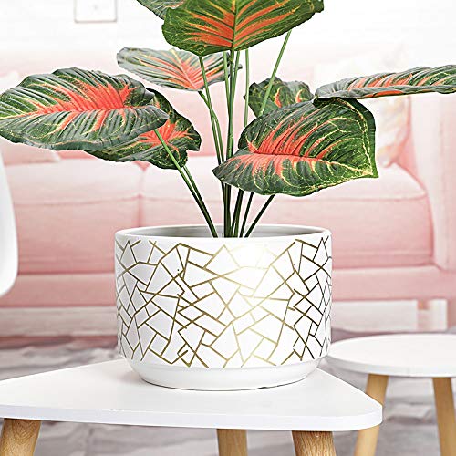 Succulentes pot en céramique YRYRYW pour sublimer vos étagères