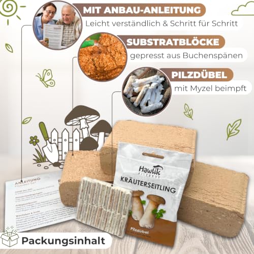 Foto von Hawlik Pilzbrut – Kräuterseitling Pilzbeet-Set für den Garten – Kinderleicht Kräuterseitlinge züchten – angelegt in 30 Minuten – Pilze züchten Set – Pilzzuchtset als Ergänzung für den Gemüsegarten