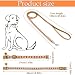 Hundehalsband und Leinen-Set, Welpenhalsband, Haustierleinen-Halsband, Halsband und Leine für Kleine und Mittelgroße Hunde, Haustierkatzenhalsband und Leine