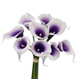 Angel Isabella, LLC 20pc Set of Keepsake Artificial Real Touch Calla Lily with Small Bloom Perfect for Making Bouquet, Boutonniere,Corsage (Picasso Purple)
