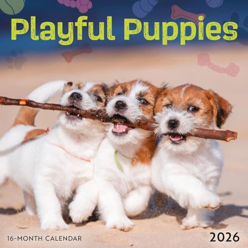 Playful Puppies: 7x7 Mini