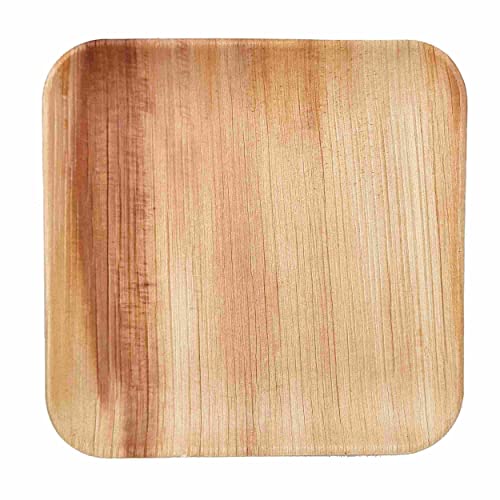 Dtocs Palm Leaf Plates 10" Square (Pack 50) | Bamboo/Wooden Look Eco-friendly, Compostable, Natural, Disposable Charcuterie Cheese Board Set | Ideal For Wedding, Birthday Parties, Camping