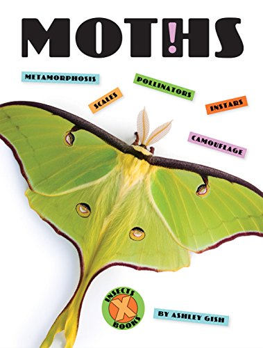 Moths (X-Books: Insects)