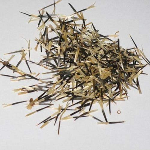 Puspita_Nursery African Marigold F1 Hybrid Flower Seeds Orange Color for Farming, 500 gm