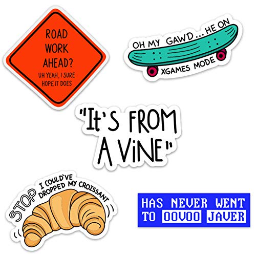 Vine Meme Waterproof Vinyl Sticker Pack for Hydro Flasks, Water Bottles, Laptops, and Phones, Made in US