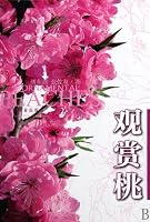 Ornamental Peach Blossom (Chinese Edition) 7503858109 Book Cover