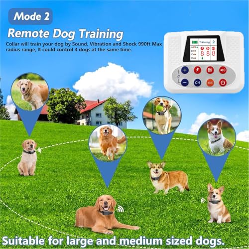 Training with Wireless Dog Fence System