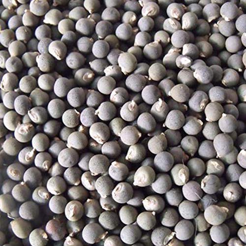 30+ Fresh Okra Clemson Spineless Okra Seeds Super Healthy Vegetable Garden - Thumbnail 5