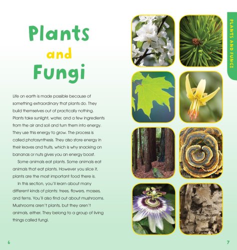 A Walk in the Woods: Into the Field Guide - Image 6