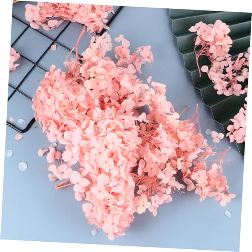 Pétalos secos naturales rosa de hortensia para decoración miniatura 5