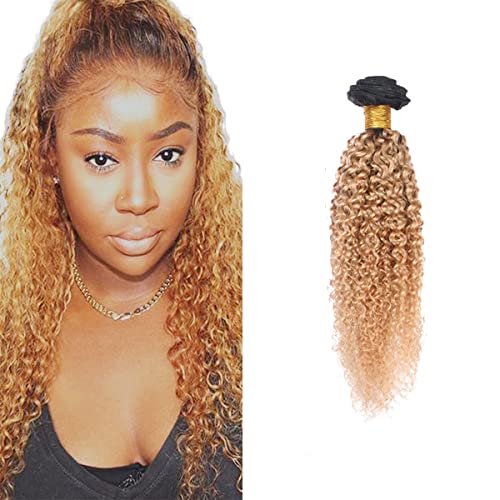 AuokMar 1B27 Ombre Human Hair Bundle Kinky Curly Bundle Single Bundle Tow Tone Hair Bundle For Women Grade 8a Unprocessed Virgin Hair Bund