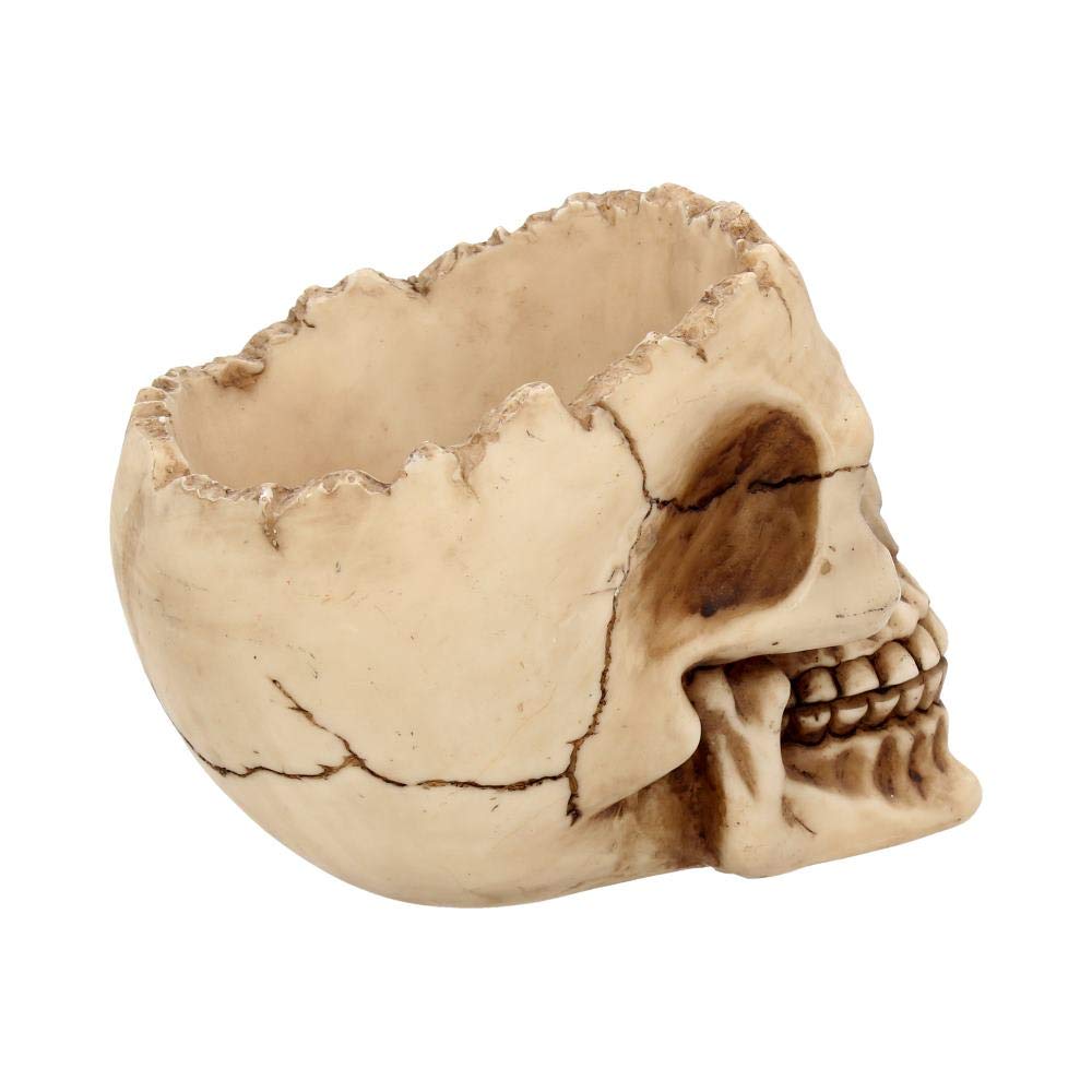 Nemesis Now popielniczka Lobo 13,5 cm w kolorze kości słoniowej