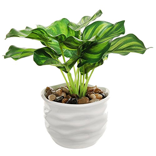 MyGift Modern 4 Inch Small Tabletop Potted Artificial Plant/Faux Home Greenery w/White Ridged Ceramic Pot