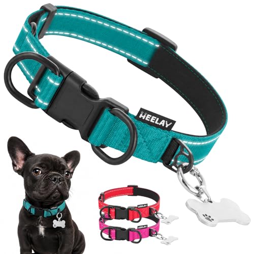Collar Reflectante para Perro con Doble D y Etiqueta ID, Nylon Ajustable