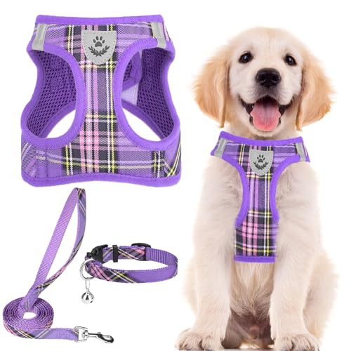 PUPTECK Adjustable Dog Harness Collar and Leash Set Step in No Pull Pet Harness for Small Medium Dogs Puppy and Cats Outdoor Wal
