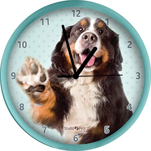 plenty gifts 68306 Horloge Bernese Mountain Dog Studio Pets, Plastic, Universel, Taille Unique