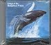 Songs Of The Humpbacked Whale -  Songs Of The Humpbacked Whale