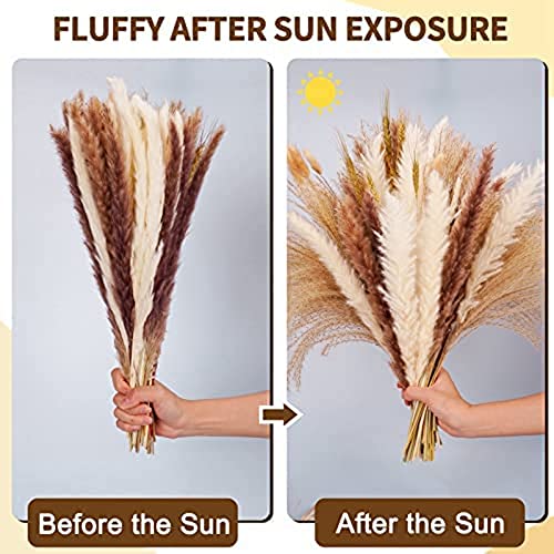 Bassulouda Pampas Pampas Secas Pampas Pampas Natural de Coelho Marrom e para DecoraçãO BoêMia