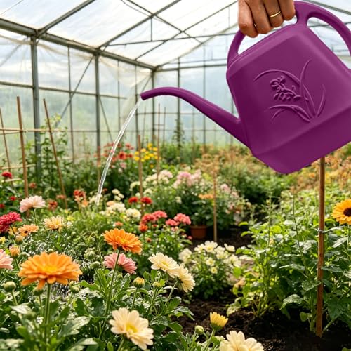 Image of Plastic Watering Can - 1 /2 Gallon - Rose Red