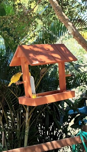 Comedouro E Bebedouro Tratador Casinha De Passarinho Livres