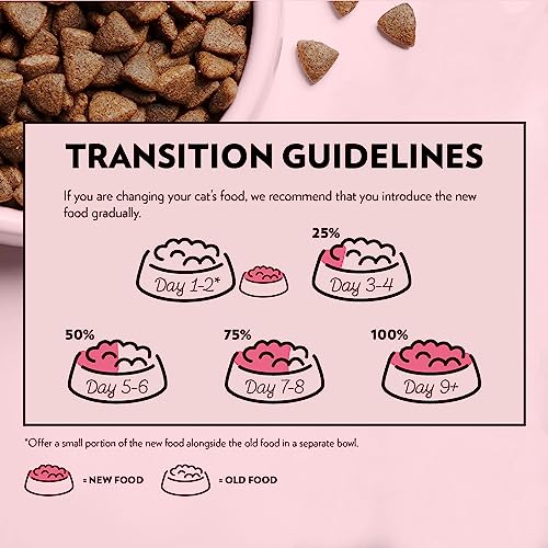 PrimaCat - Getreidefreies Trockenfutter für ausgewachsene Katzen, Geschmacksrichtung Lachs, 400 g