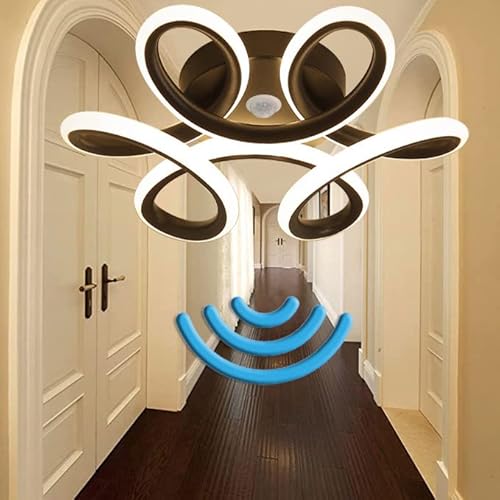 TRUYOK Flur Deckenleuchte mit Bewegungsmelder Modernes Blumensform Deckenlampe mit Bewegungssensor Sensorlampen für Flur Balkon Abstellraum Keller Diele Garage Treppe Schwarz Ø26CM (Warmweiß 3000K) Cover