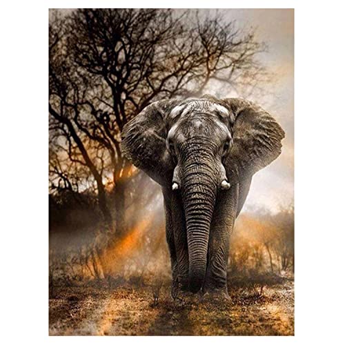 MXJSUA Diamond Painting Strass Complet Éléphant, Broderie Diamant Kit Complet Diamond Painting Éléphant, 5D Diamant Painting Animal Peinture Diamant 5D Complet Éléphant et Coucher de Soleil 30x40 CM
