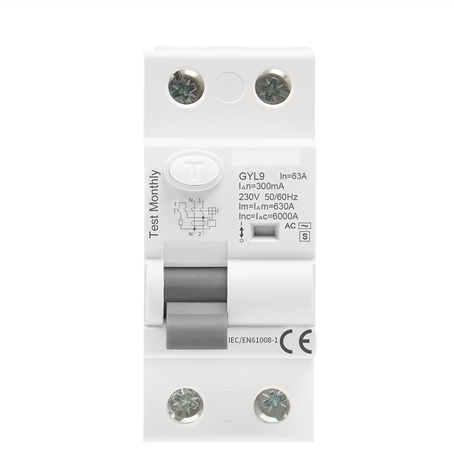 Lhnbgtuiw 100Ma Gyl9 Ac-S Type Time Delayed Rcd Rccb Elcb Delay Electromagnetic 1Pcs(,Ac-S 2P 40A)