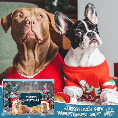 Hunde Adventskalender 2024, Adventskalender für Hunde mit 24 Hundespielzeug Weihnachten, Dog Advent Calendar mit Bällen, Federspielzeug und Glocken, 24 Tage Überraschungen für Hundeliebhaber (24 PCS)