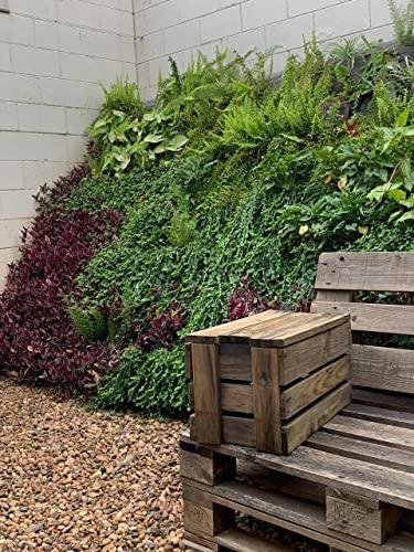 Geogarden Módulo para Jardim Vertical 10 Bolsos + Irrigação, Interno ou Externo, Respirável, Jardim