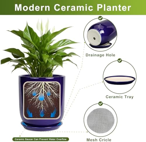 SUNPOTFOR Ceramic Plant Pot - 8 Inch Planter for Indoor Plants Outdoor Flower Pot with Drainage Hole and Saucer Home Patio Office Decor Blue — view 6